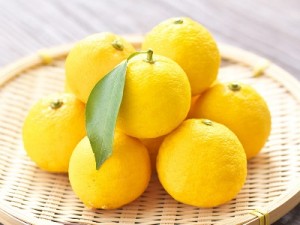 202011120245_top_img_A