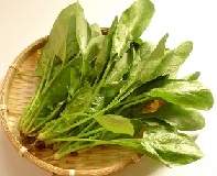 teshimanonaeya_houren-sarada-cut_1