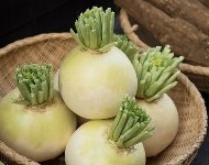 360_F_130600042_2rp8cJnnkgr3wXpm7lu0q9ph7ca6arbT